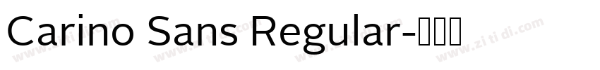 Carino Sans Regular字体转换